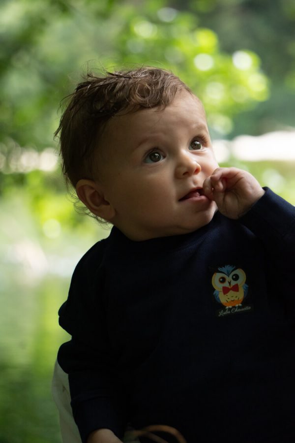 Sweat-shirt à col rond à capuche pour bébé marque Luluchouette modèle Henry couleur bleu